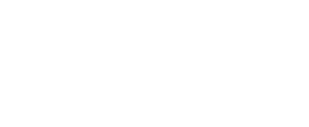 Archaeology 101 logo