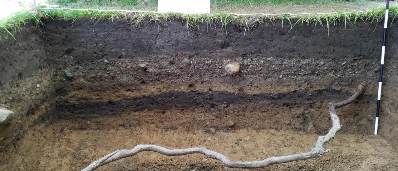 Soil profile from excavation unit showing different layers of brown and black soil