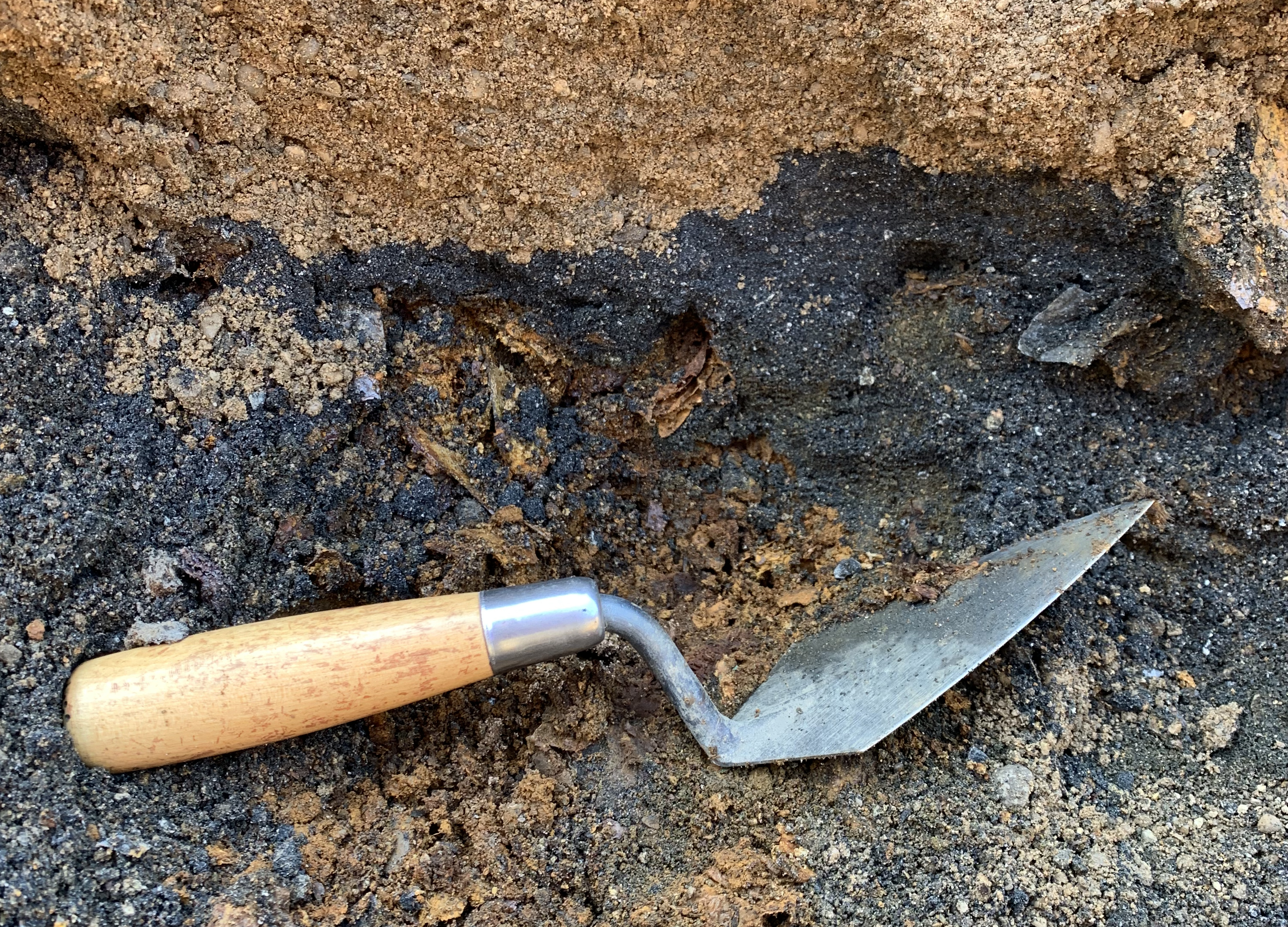 A wood and metal trowel laying in tan and black soil