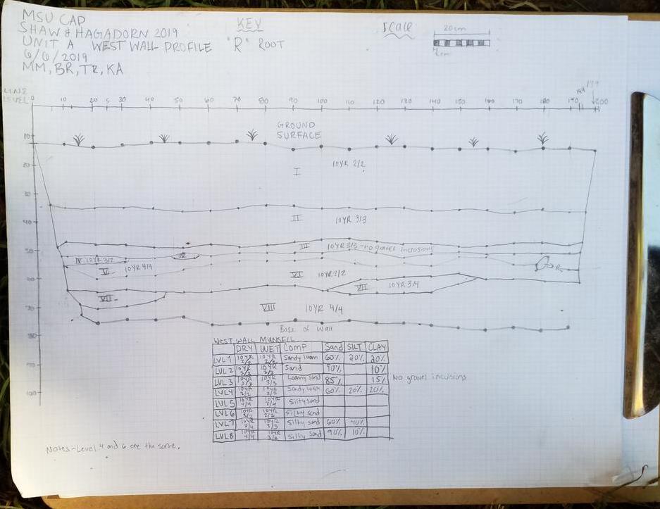 Hand drawn sketch map of a test unit profile drawn on white grid paper